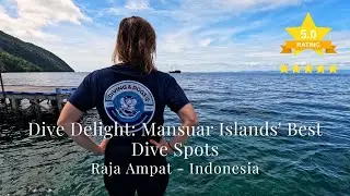 How to Experience the Best of Mansuar Island in 3 Dives #top3 #rajaampat #scubadiving