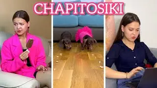 СБОРНИК УДИВИТЕЛЬНЫХ РОЛИКОВ II CHAPITOSIKI🐶🐾