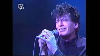 1988 Herman Brood And His Wild Romance   Live In Koln