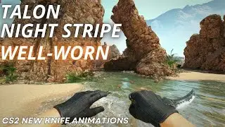 Talon Knife Night Stripe (Well-Worn) | CS2 Skin Showcase with NEW Animation