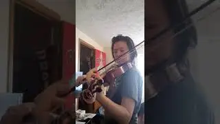 Embarrassing Violin Practice, but ya gotta start somewhere