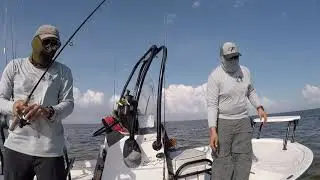 Double hook up baby!!!! Palo rods AM lures