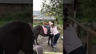 Séance du 17/12/25 ( dernier jour ) ✨🩷🎀 #horse #equestrian #jeux #noel #equitation #sport