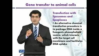 Transfection with Liposomes and Lipoplexes | Introduction to Biotechnology | BIO5101_Topic148