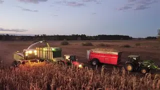 Koszenie Kukurydzy 2022🌽 KUCHAREK TEAM  2x Massey Ferguson🚜John Deere 🚜New Holland🚜CLAAS JAGUAR 900🌽