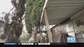 Large leaning tree worries residents at North Highlands mobile home park