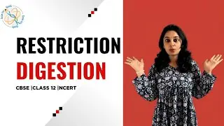 Restriction Digestion | CBSE Class 12 Biology | Biotechnology &ndash; Principles & Processes