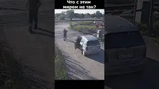 Стоило ли того?  #car #shorts