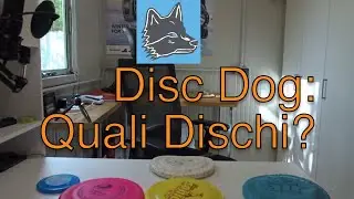 Disc Dog: quali dischi?