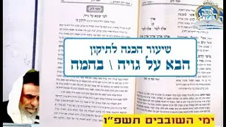 שיעור הכנה לתיקון גויה - שובבי