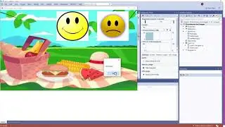 Visual C# 2.4- PictureBox and Images
