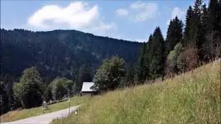 Lake Feldsee at the foot of Feldberg Mountain