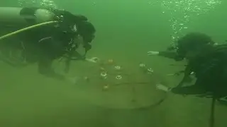 A Fun Dive: extended and unedited | Full emersion