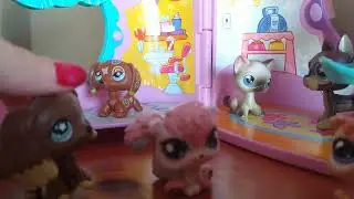 LPS: Sunny Side Up California Highschool (Season 1) Ep 4 - Gracies Out, Valentine is in! 