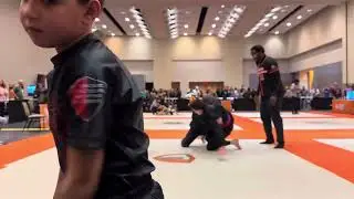 Grappling industries Knoxville blue belt 145 03/08/2025