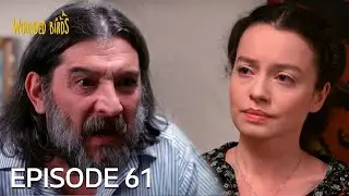Wounded Birds | Episode 61