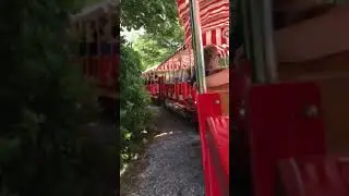 CJ’s train at lincoln children’s zoo