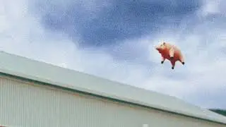 Oliver Walker - Flying Pigs (Stripped Down)