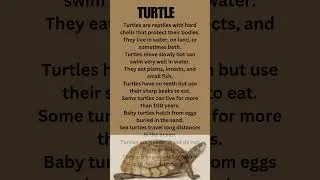 10 lines essay on Turtle in english/short line essay on turtle/10 lines  tortoies in englis/  essay