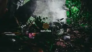 [FREE] A$AP Rocky Type Beat - Cat Tail (Prod. Rawsyn)