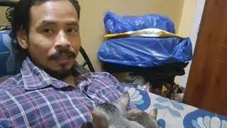 My Cat Resting On My Lap🤩 । No Privacy in my Life from my Cat family 🥲😺।#animallovers 