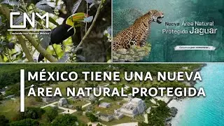 Parque Nacional del Jaguar en Tulum es declarado área natural protegida, Quintana Roo