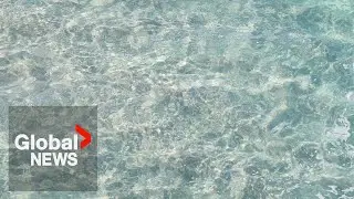 Scientists uncover potential untapped fresh water source in North Atlantic