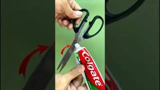 Put toothpaste on scissors! An easy and amazing way to sharpen scissors in a minute, #diy #tips