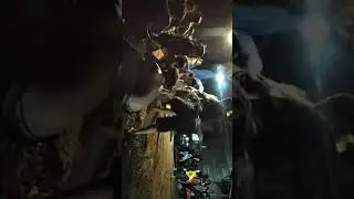Penonton doger kerasukan semua live desa pretek