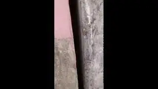 Hidden bats between the walls