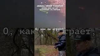 Jackall Chubby vibration #jackall  #fishing #рыбалка  #norstream