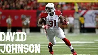 David Johnson 