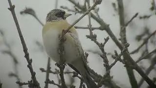 Terugblik op mijn mooiste filmpjes van de laatste jaren. 