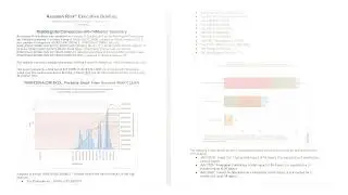 Deltek Acumen Risk