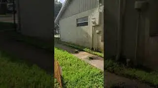 Neighbor dog poop on your lawn ?Give him a lesson!!! 100% no more poop on your lawn quarantined!!