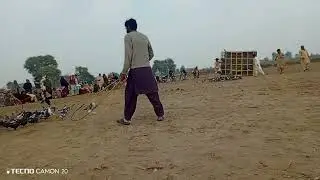 کبوتر بازی ایک جنون🕊🕊🕊||محمد امین خان کا کھوکھا بمقابلہ اویس جیدانی کا کھوکھا||زبردست مقابلہ||