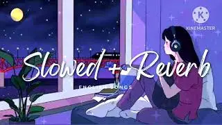 Sean Pitaro &ndash; Passport (Slowed + Reverb Lofi) | Sourabh YT Chill Edit