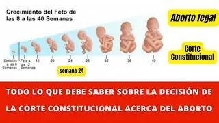 El aborto en Colombia todo lo que necesitas saber - Corte Constitucional Despenaliza el aborto 👶👶
