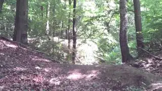 Zeisigwald gejumpe