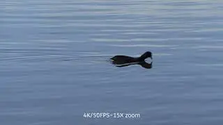 Canon XF 400- all round zoom test 4K/50fps 15x zoom & 1080/50fps 30X Advange zoom.