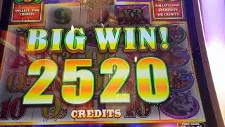 BUFFALO MEGA POWER SUPER BIG WIN $$$ #trending  #virals  #casino  #videos  #seguir 
