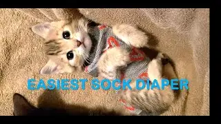 Making the easiest sock diaper for incontinent kitten