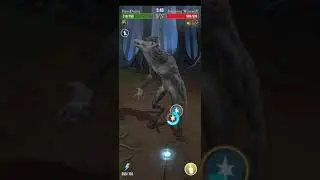 Harry Potter Wizards Unite - Knight Bus and Forest Chamber I Challenge
