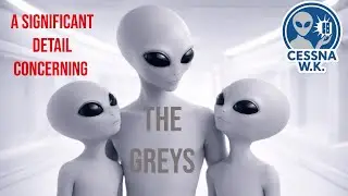 Key detail about Grey Beings omitted in abduction reports, from a firsthand account &mdash; Cessna W.K.