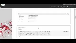 BB Test Questions