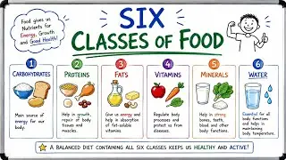 Six classes of Food nutrients