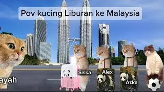 Pov Kucing Liburan Ke Malaysia | meme kucing lucu #pov #meme #kucing #cat