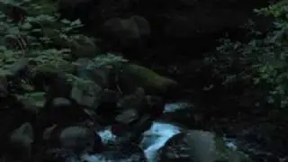 Highest Accesable Waterful in US--Mutnomah Falls-drop of 620 feet