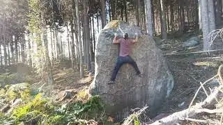 Pavučina 7A+ FA Popovka