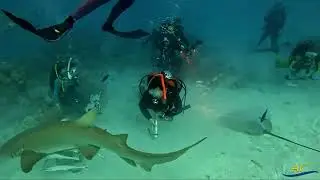 Maldive 2025